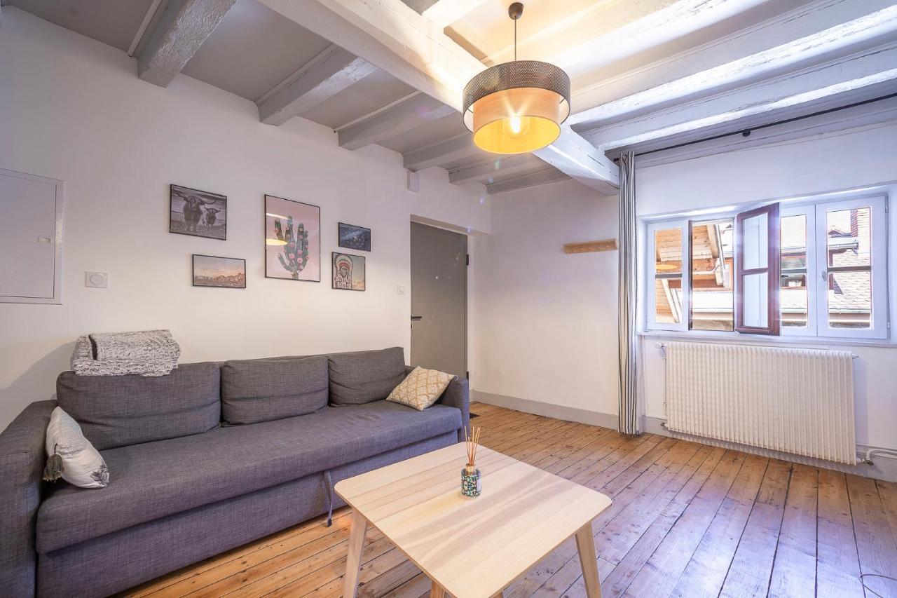 Bel Appartement, 2 Chambres, Annecy Coeur De Ville Esterno foto